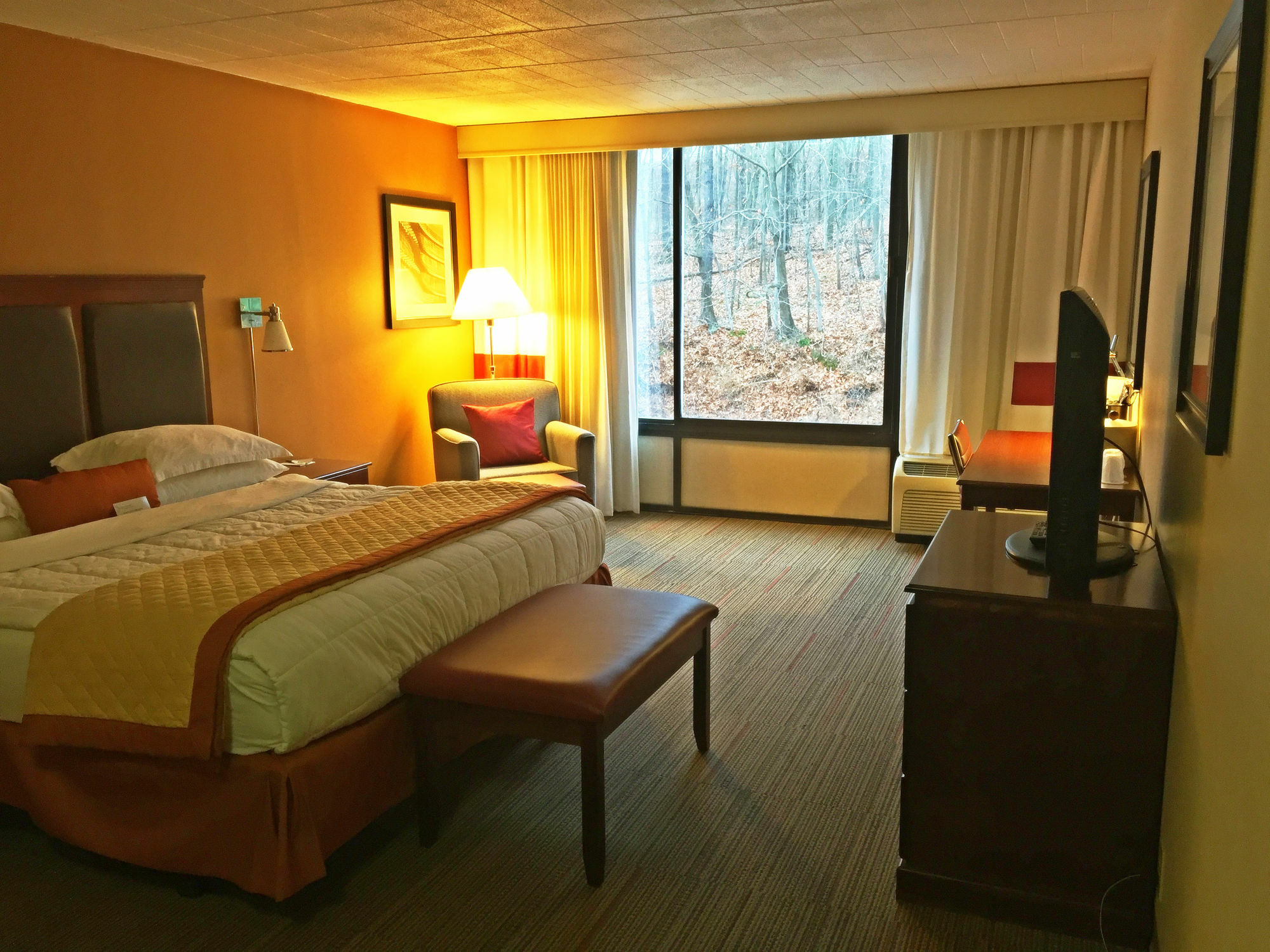 Wyndham Garden Inn Pittsburgh Airport Robinson Township  Bagian luar foto